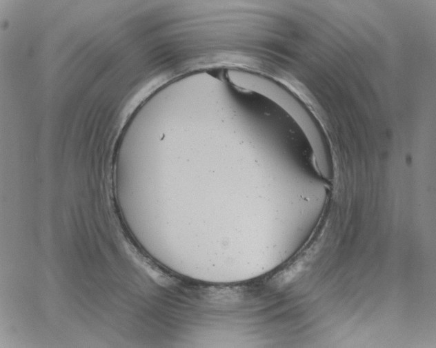 X0000064750850200603131341