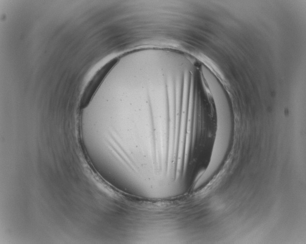 X0000064750854200603131342