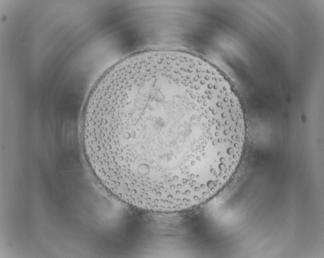 X0000064750856200603131342