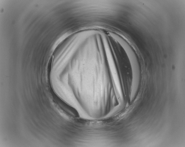 X0000064750858200603131342