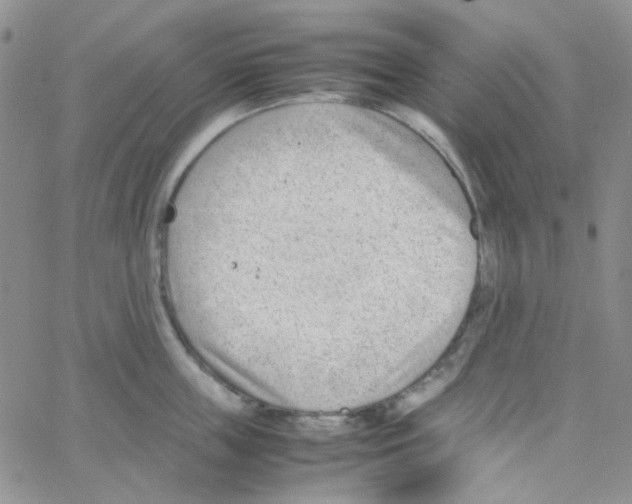 X0000064750859200603131342