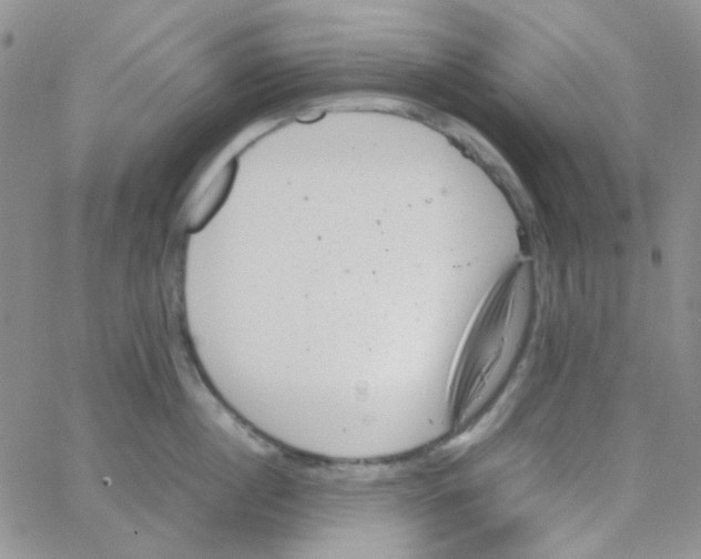 X0000064750860200603131342