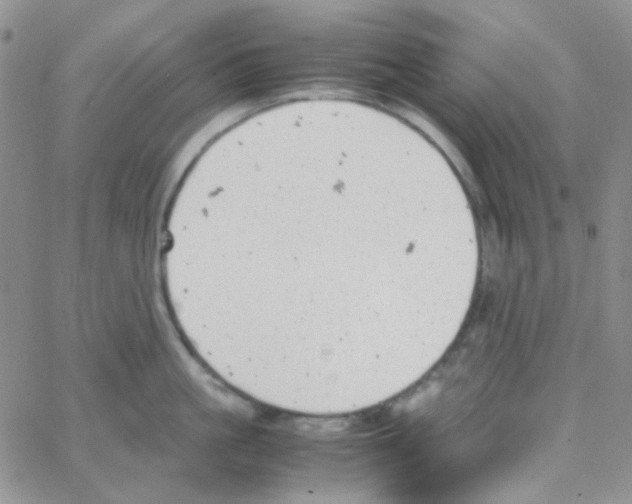 X0000064750861200603131342