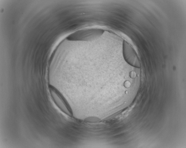 X0000064750863200603131342