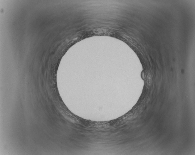 X0000064750865200603131341