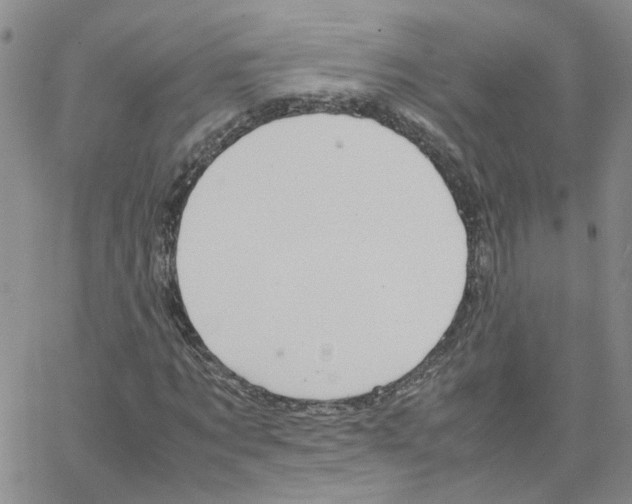 X0000064750869200603131341