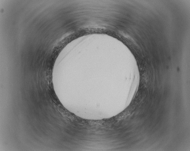 X0000064750870200603131341