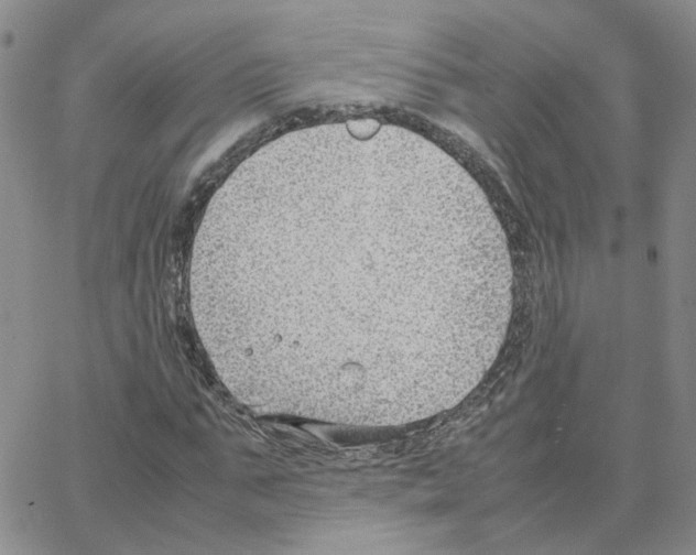 X0000064750871200603131341