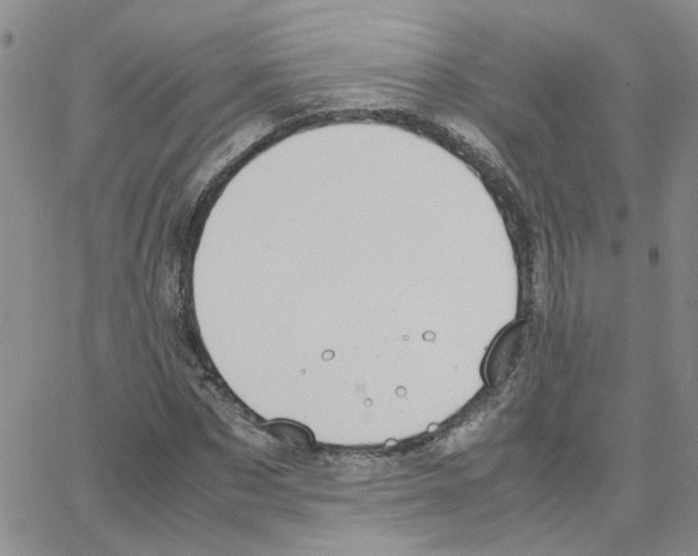 X0000064750873200603131341