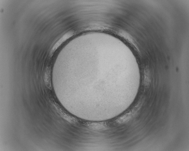 X0000064750874200603131341