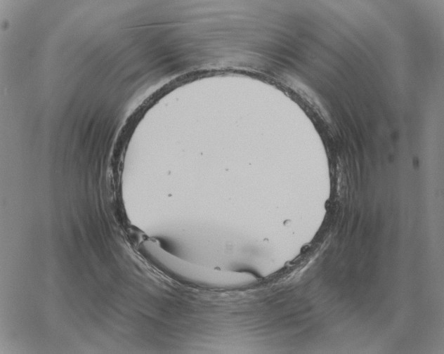 X0000064750876200603131341