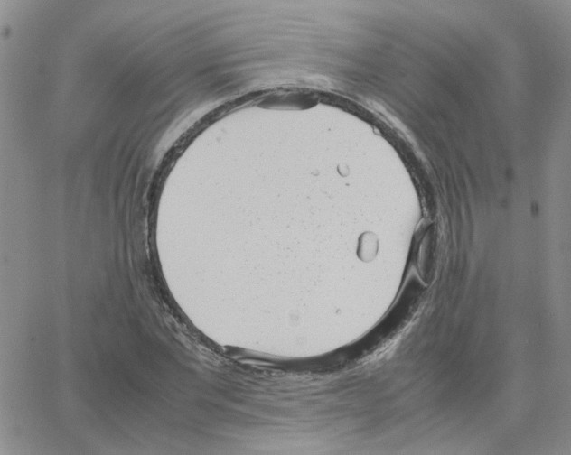 X0000064750877200603131341