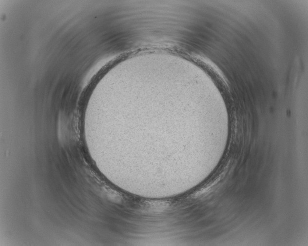 X0000064750878200603131341