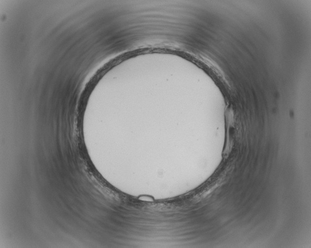 X0000064750880200603131341