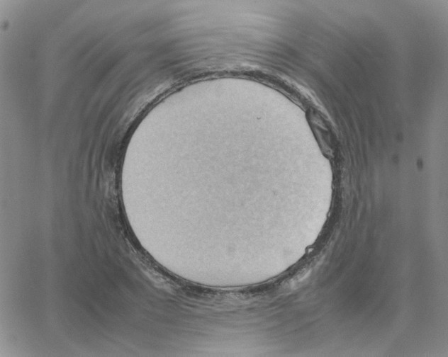 X0000064750881200603131341