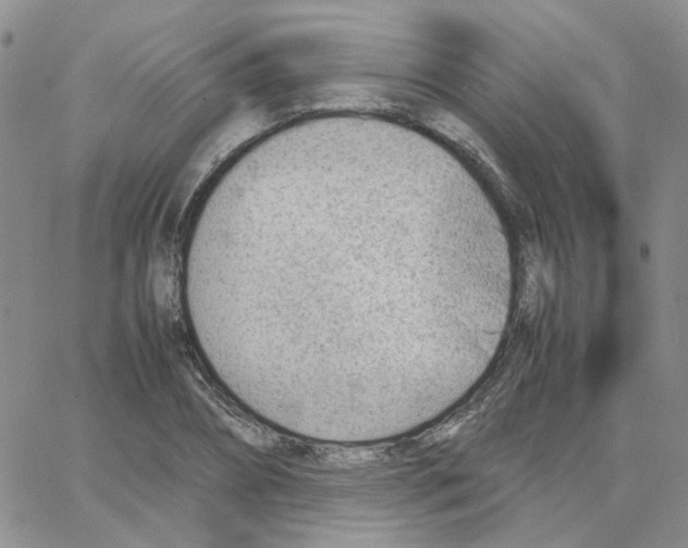 X0000064750882200603131341