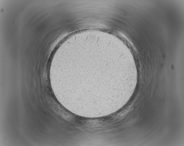 X0000064750883200603131341