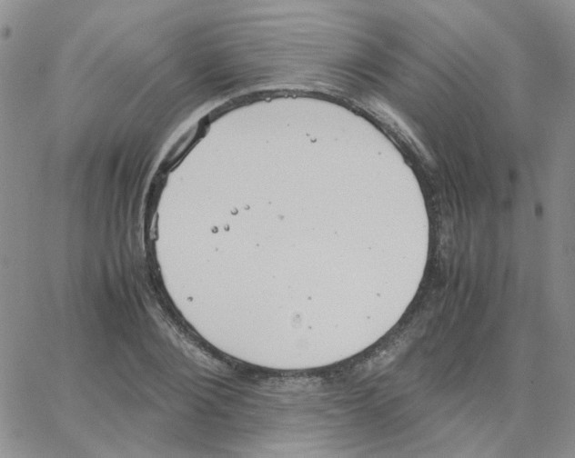 X0000064750884200603131341