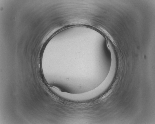 X0000064750885200603131341