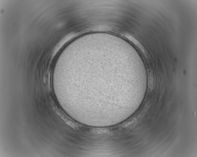 X0000064750886200603131341