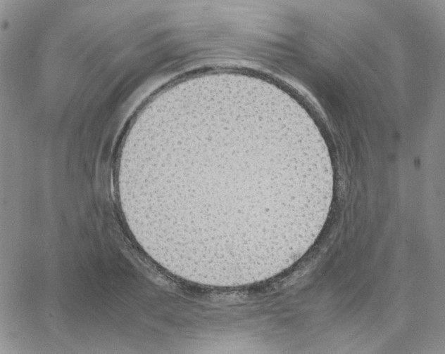 X0000064750887200603131341