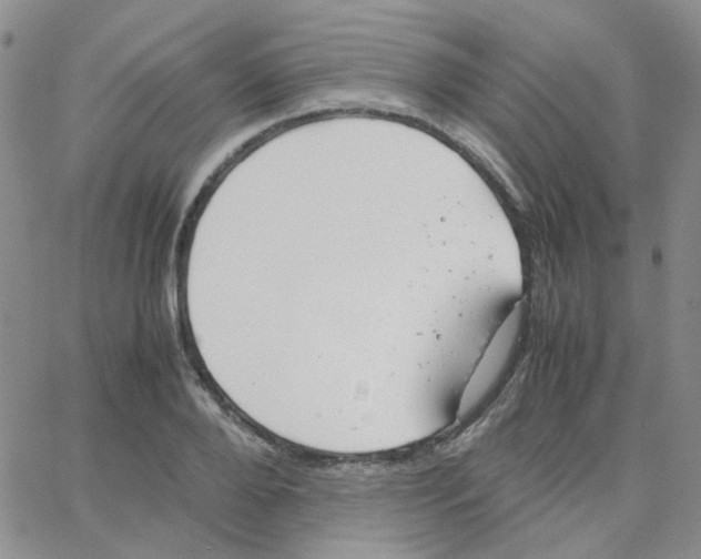 X0000064750888200603131341