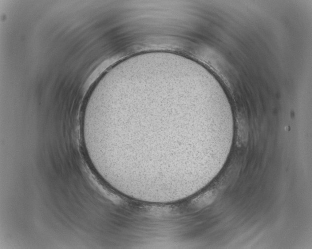 X0000064750890200603131341