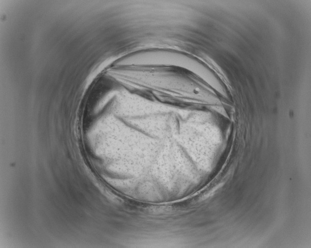 X0000064750893200603131340