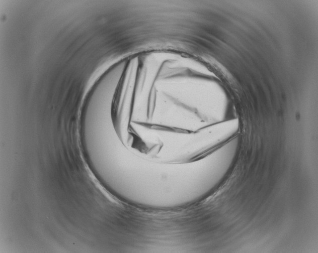 X0000064750894200603131340