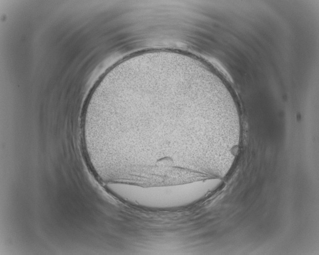 X0000064750895200603131340