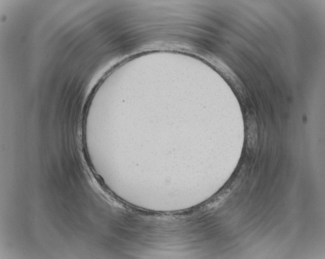 X0000064750896200603131340