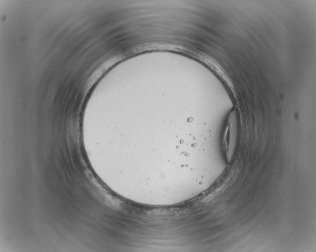 X0000064750898200603131340