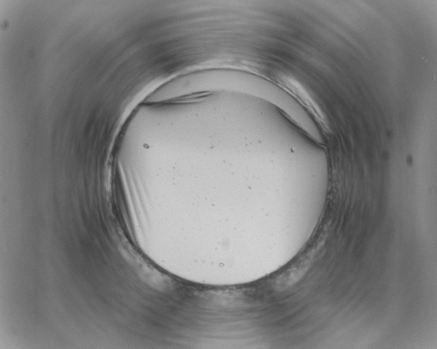 X0000064750900200603131340