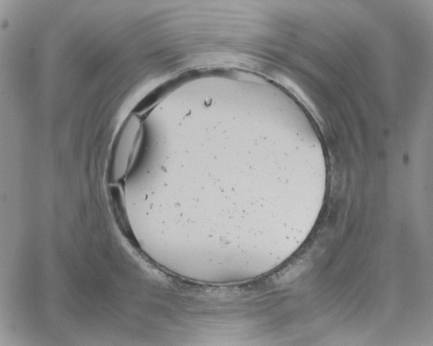 X0000064750901200603131340