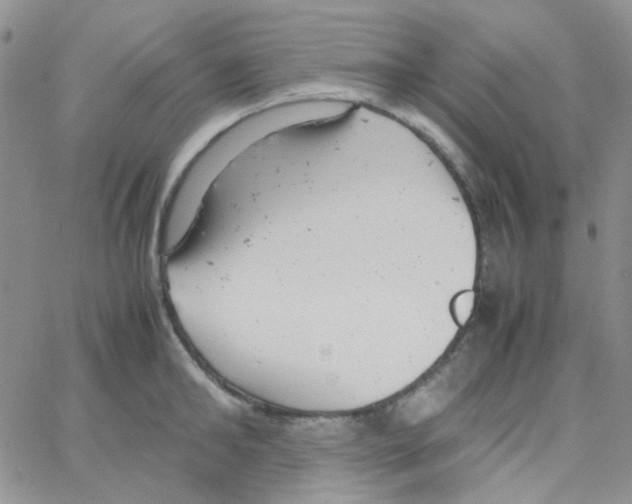 X0000064750902200603131340