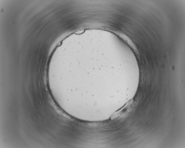 X0000064750904200603131340