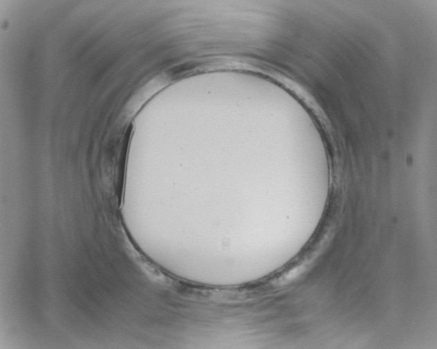 X0000064750905200603131340