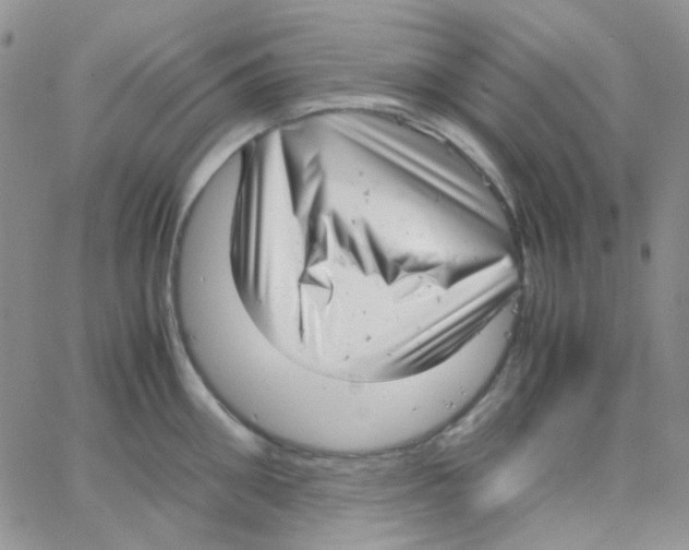 X0000064750906200603131340