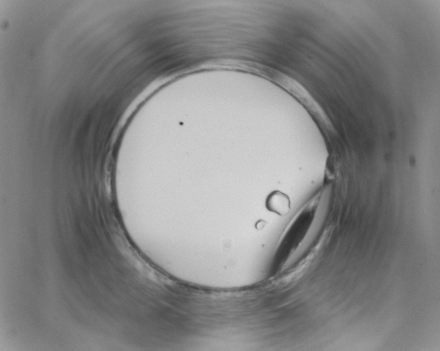 X0000064750908200603131340