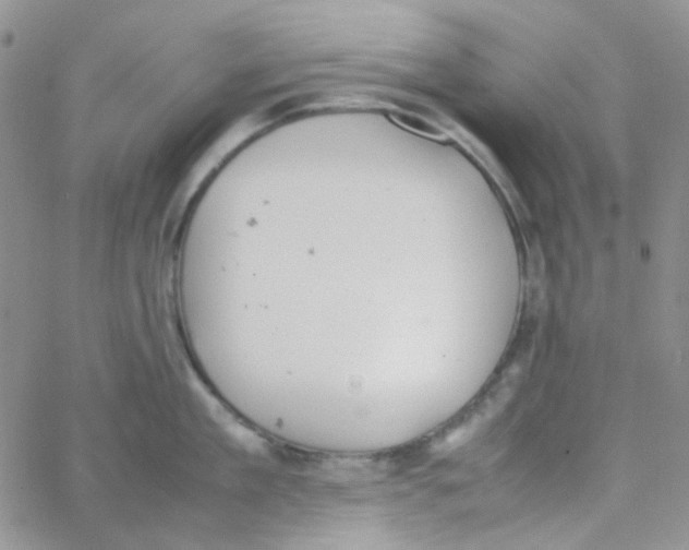 X0000064750909200603131340