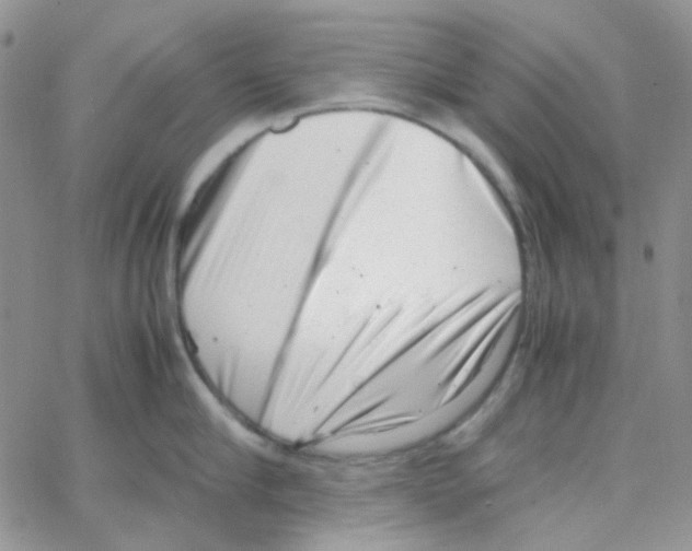 X0000064750910200603131340