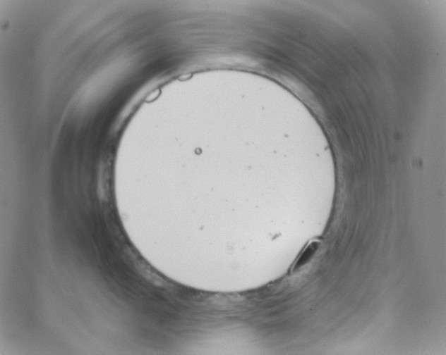 X0000064750912200603131340