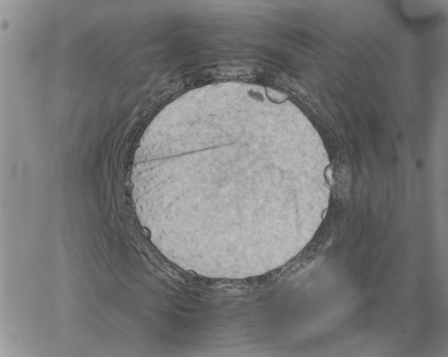 X0000064750913200603131339