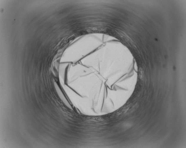 X0000064750915200603131339