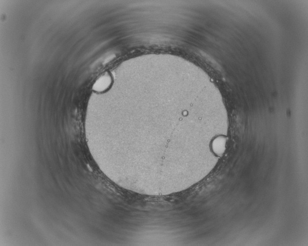 X0000064750918200603131339