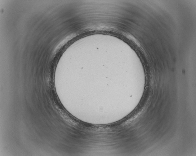 X0000064750922200603131340