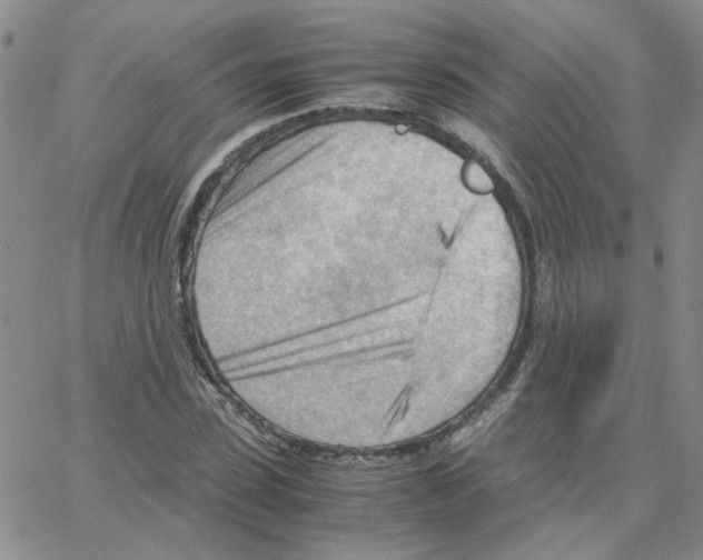 X0000064750923200603131340