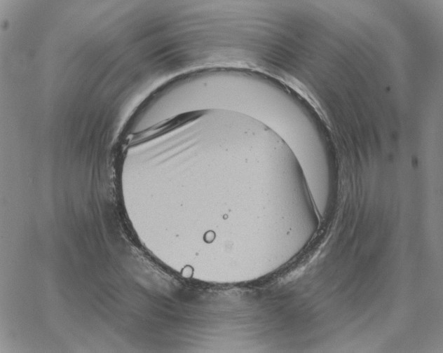 X0000064750926200603131340