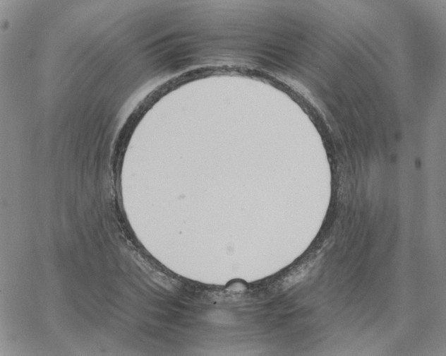 X0000064750927200603131340