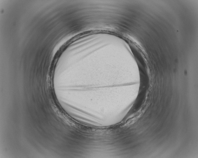 X0000064750928200603131340